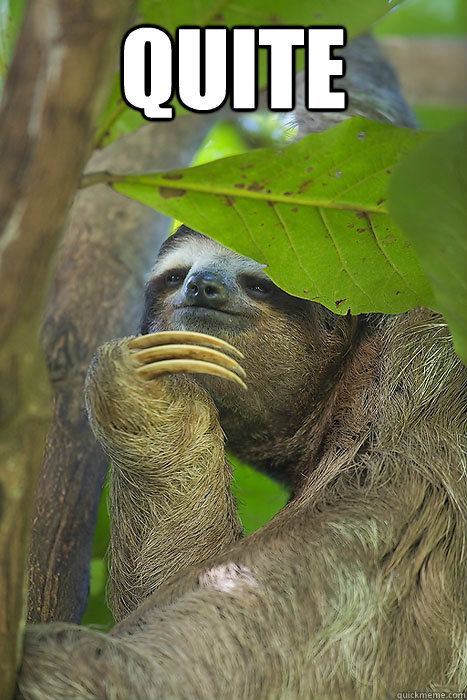 Quite   Philososloth