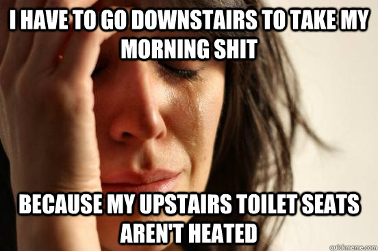 I Have to go downstairs to Take my morning shit because my upstairs toilet seats aren't heated  First World Problems