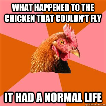 what happened to the chicken that couldn't fly it had a normal life   Anti-Joke Chicken
