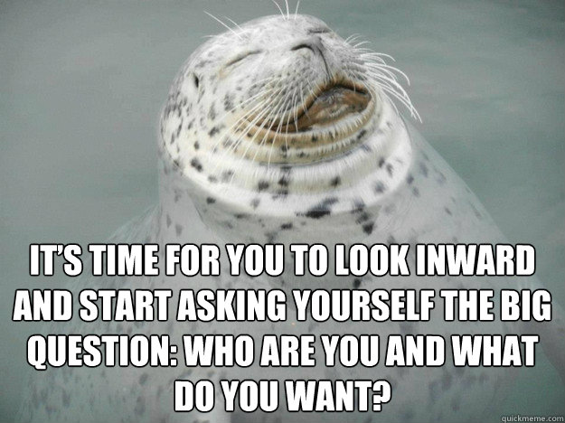 It’s time for you to look inward and start asking yourself the big question: who are you and what do YOU want? - It’s time for you to look inward and start asking yourself the big question: who are you and what do YOU want?  Zen Seal