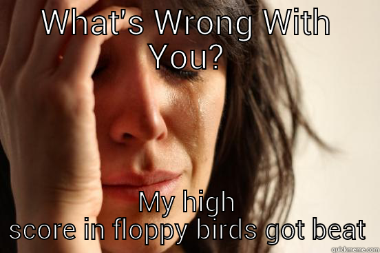 WHAT'S WRONG WITH YOU? MY HIGH SCORE IN FLOPPY BIRDS GOT BEAT First World Problems