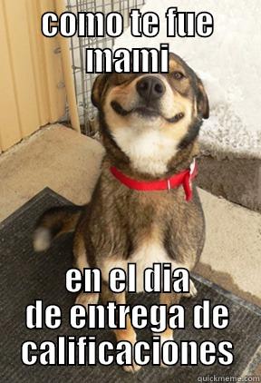 COMO TE FUE MAMI EN EL DIA DE ENTREGA DE CALIFICACIONES Good Dog Greg