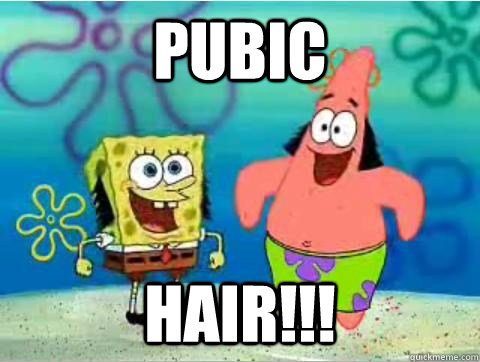 Pubic hair!!! - Pubic hair!!!  Spongebob