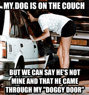 My dog is on the couch but we can say he's not mine and that he came through my 