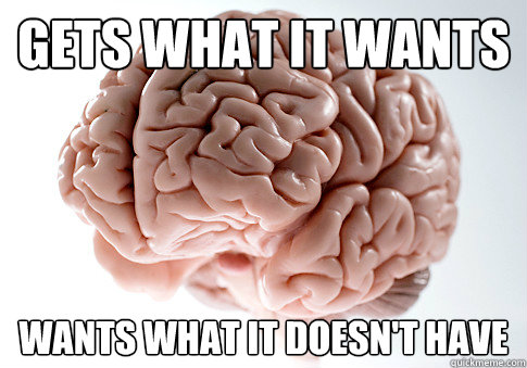 Gets what it wants wants what it doesn't have  Scumbag Brain