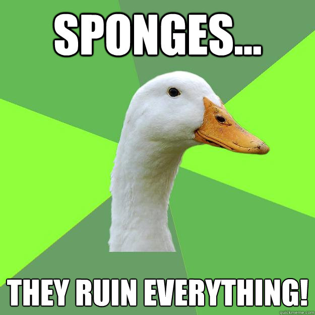 Sponges... They Ruin everything!  - Sponges... They Ruin everything!   Biology Student Duck