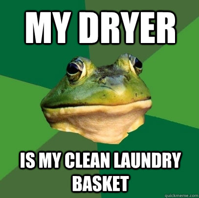 my dryer is my clean laundry basket  Foul Bachelor Frog