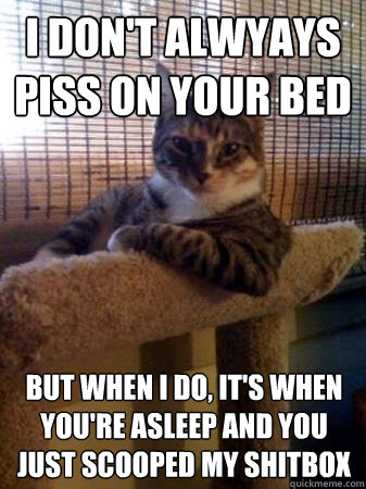 I don't alwyays piss on your bed But when i do, it's when you're asleep and you just scooped my shitbox  The Most Interesting Cat in the World