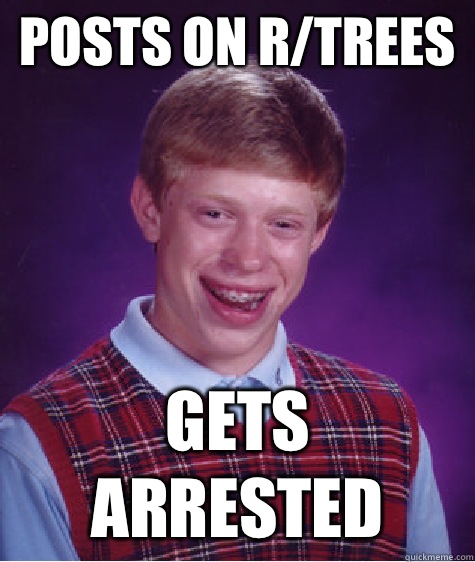 Posts on r/trees Gets arrested  Bad Luck Brian