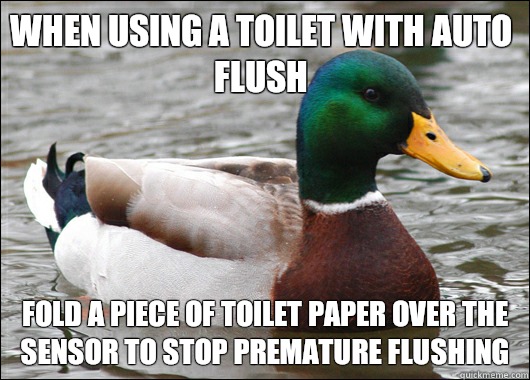 when using a toilet with auto flush fold a piece of toilet paper over the sensor to stop premature flushing  Actual Advice Mallard