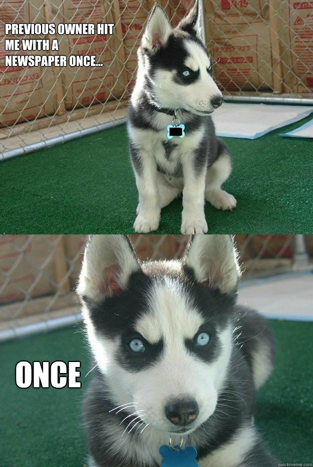 Previous owner hit 
me with a 
newspaper once... once  Insanity puppy