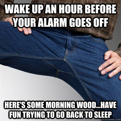 Wake up an hour before your alarm goes off Here's some morning wood...have fun trying to go back to sleep  Scumbag Penis