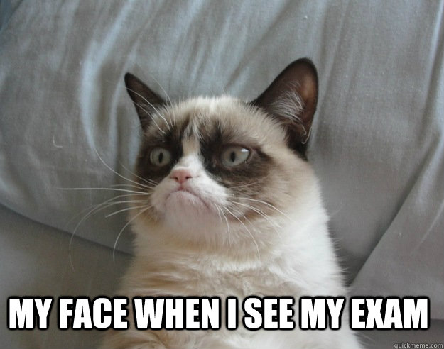  my face when I see my exam -  my face when I see my exam  Grumpy Cat Lebowski Shabbos