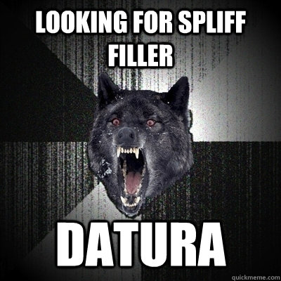 Looking for spliff filler DATURA  Insanity Wolf