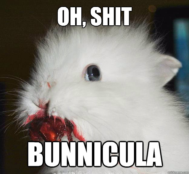 oh, shit bunnicula  Murder Bunny