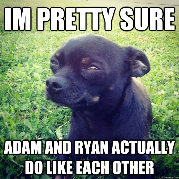 IM PRETTY SURE adam and ryan actually do like each other  Skeptical Dog