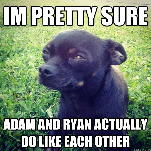 IM PRETTY SURE adam and ryan actually do like each other - IM PRETTY SURE adam and ryan actually do like each other  Skeptical Dog