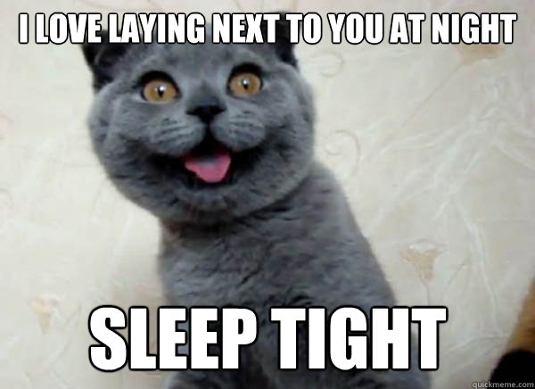 I love laying next to you at night sleep tight  russian cat