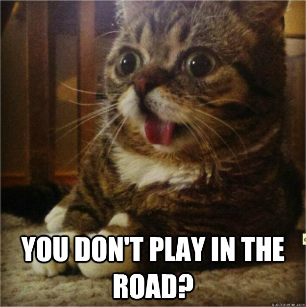  You don't play in the road?  Derp Cat