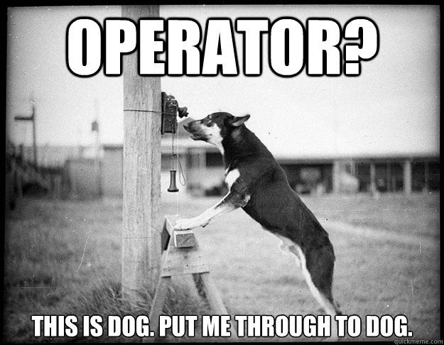 operator? this is dog. put me through to dog. - operator? this is dog. put me through to dog.  Misc