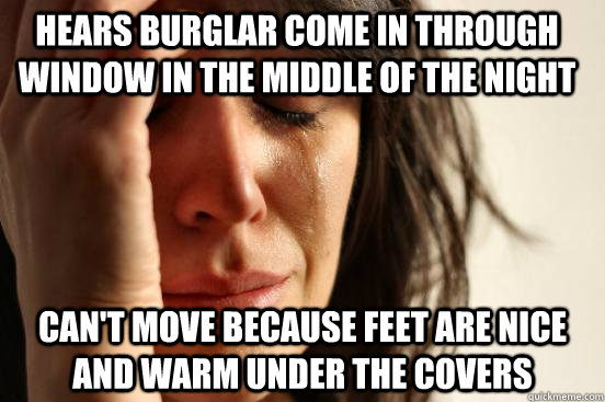 Hears burglar come in through window in the middle of the night Can't move because feet are nice and warm under the covers  First World Problems