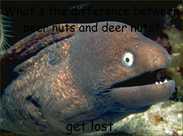What's the difference between beer nuts and deer nuts? get lost. - What's the difference between beer nuts and deer nuts? get lost.  Bad Joke Eel