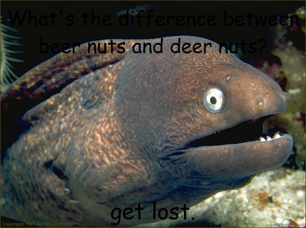 What's the difference between beer nuts and deer nuts? get lost.  Bad Joke Eel