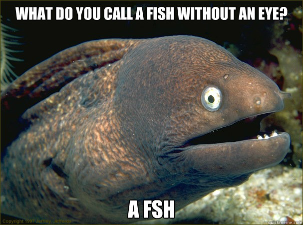 What do you call a fish without an eye? A fsh  Bad Joke Eel