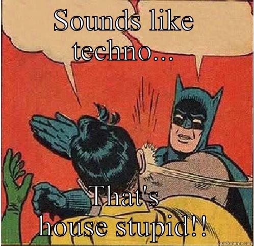 SOUNDS LIKE TECHNO... THAT'S HOUSE STUPID!! Batman Slapping Robin