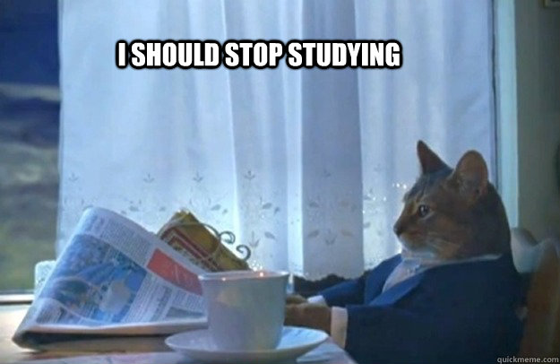               i should stop studying         -               i should stop studying          Sophisticated Cat
