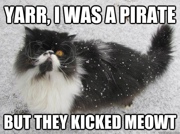 Yarr, I was a pirate But they kicked meowt  