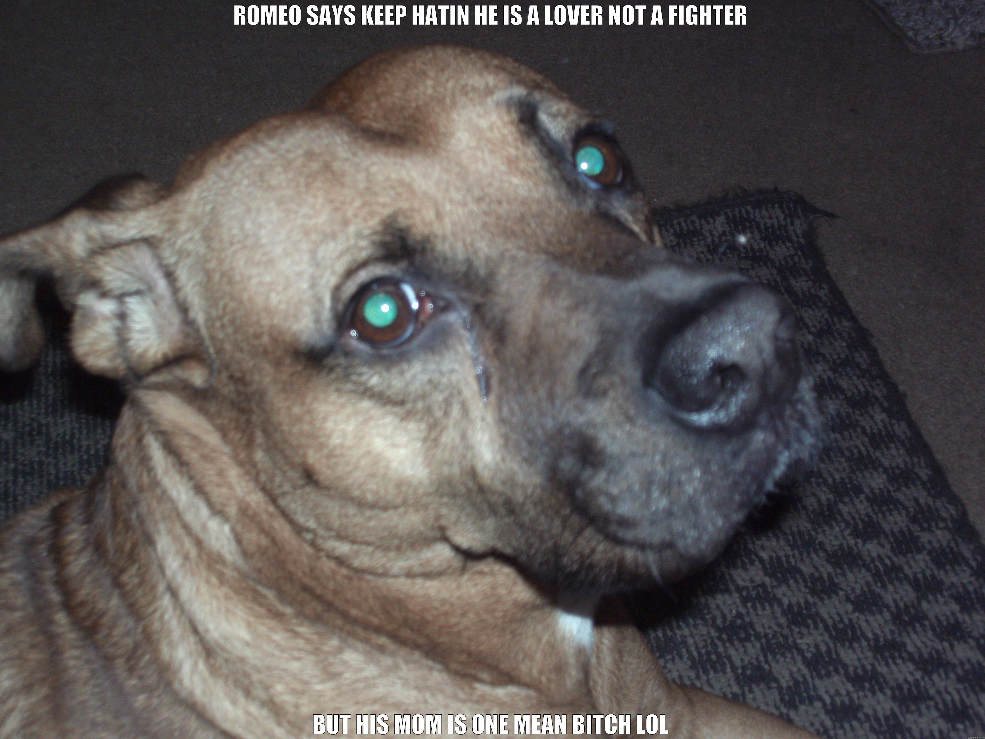 ROMEO SAYS KEEP HATIN HE IS A LOVER NOT A FIGHTER BUT HIS MOM IS ONE MEAN BITCH LOL Misc