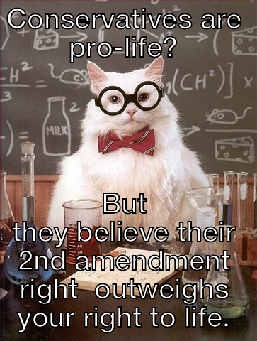 CONSERVATIVES ARE PRO-LIFE? BUT THEY BELIEVE THEIR 2ND AMENDMENT RIGHT  OUTWEIGHS YOUR RIGHT TO LIFE. Chemistry Cat