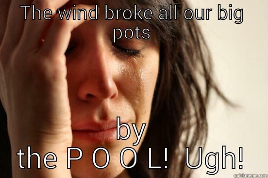 THE WIND BROKE ALL OUR BIG POTS BY THE P O O L!  UGH! First World Problems
