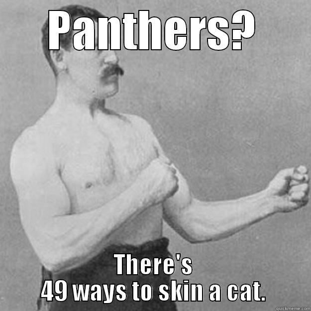 PANTHERS? THERE'S 49 WAYS TO SKIN A CAT. overly manly man
