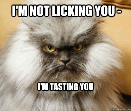 I'm not licking you - I'm tasting you  Sinister Cat