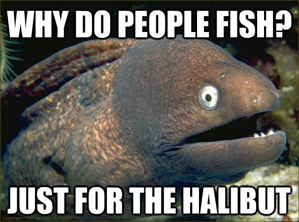 Why do people fish? Just for the halibut - Why do people fish? Just for the halibut  Bad Joke Eel