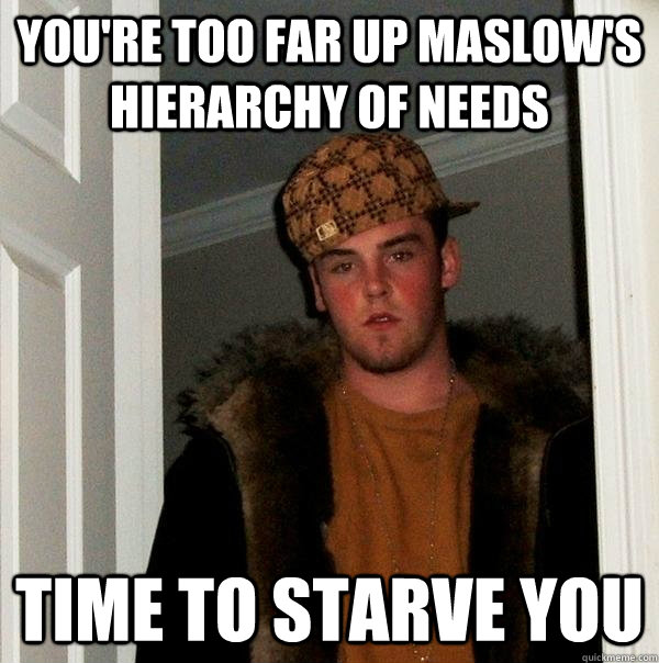YOU'RE TOO FAR UP MASLOW'S HIERARCHY OF NEEDS TIME TO STARVE YOU - YOU'RE TOO FAR UP MASLOW'S HIERARCHY OF NEEDS TIME TO STARVE YOU  Scumbag Steve