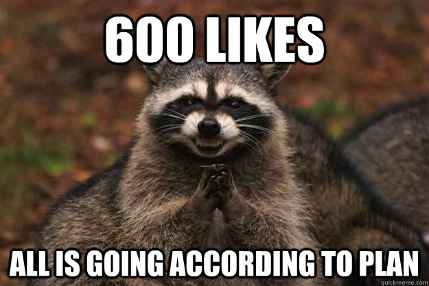 600 likes all is going according to plan  Evil Plotting Raccoon
