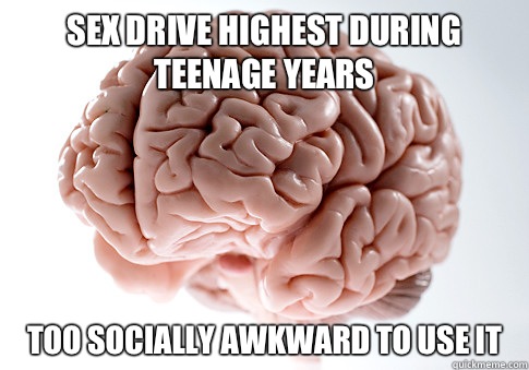 Sex drive highest during teenage years Too socially awkward to use it  Scumbag Brain