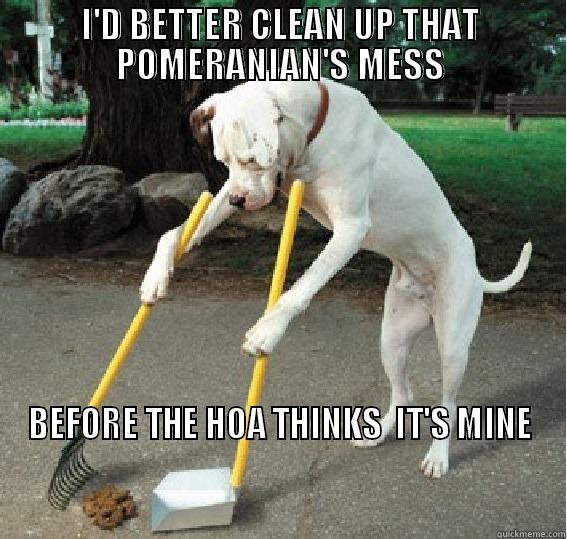 Dog Poop HOA meme - I'D BETTER CLEAN UP THAT POMERANIAN'S MESS BEFORE THE HOA THINKS  IT'S MINE                                                                                                                                                          Misc