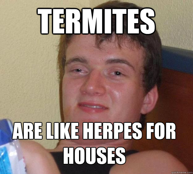 termites are like herpes for houses - termites are like herpes for houses  10 Guy