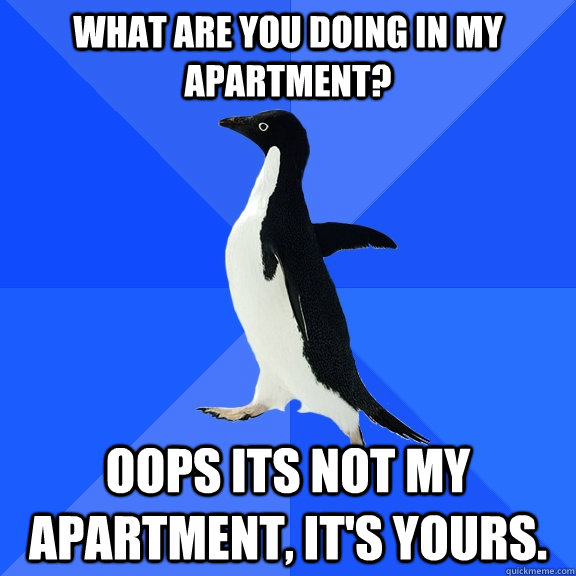 What are you doing in my apartment? Oops its not my apartment, it's yours.  Socially Awkward Penguin