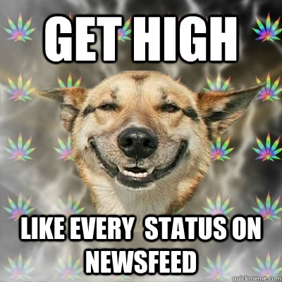 get high  like every  status on newsfeed  Stoner Dog
