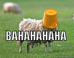  BAHAHAHAHA                 Misc