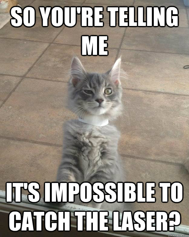 So you're telling me It's impossible to catch the laser?  