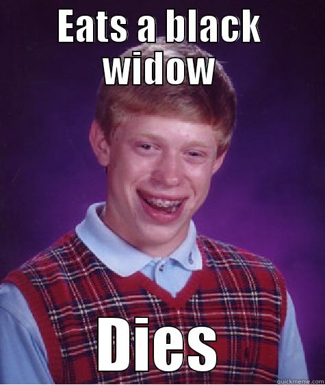 spider dies - EATS A BLACK WIDOW DIES Bad Luck Brian