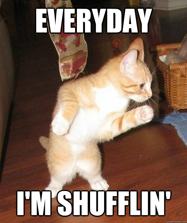 Everyday i'm shufflin'  Cat Shuffle