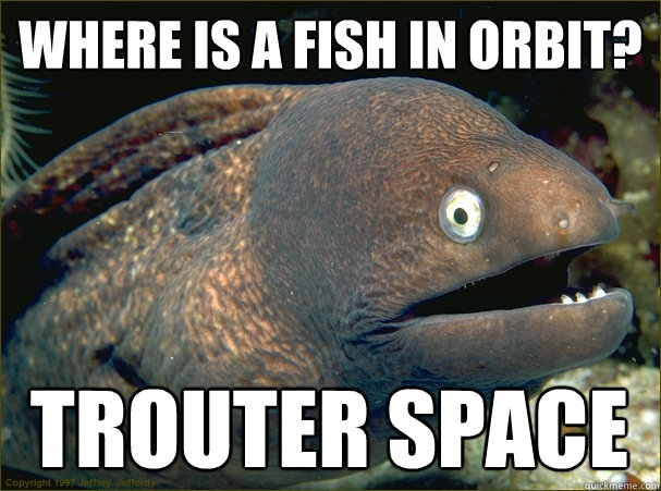 Where is a fish in orbit? Trouter space  Bad Joke Eel