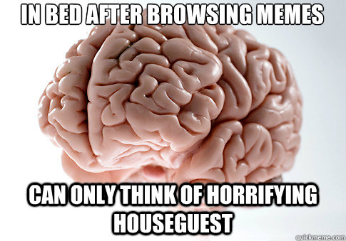 IN BED AFTER BROWSING MEMES  CAN ONLY THINK OF HORRIFYING HOUSEGUEST   Scumbag Brain